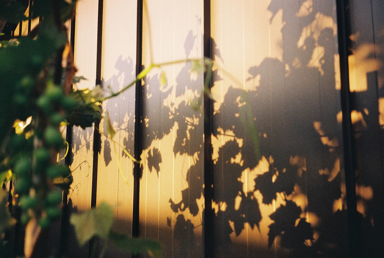 ~ 7월 22일 (8).JPG