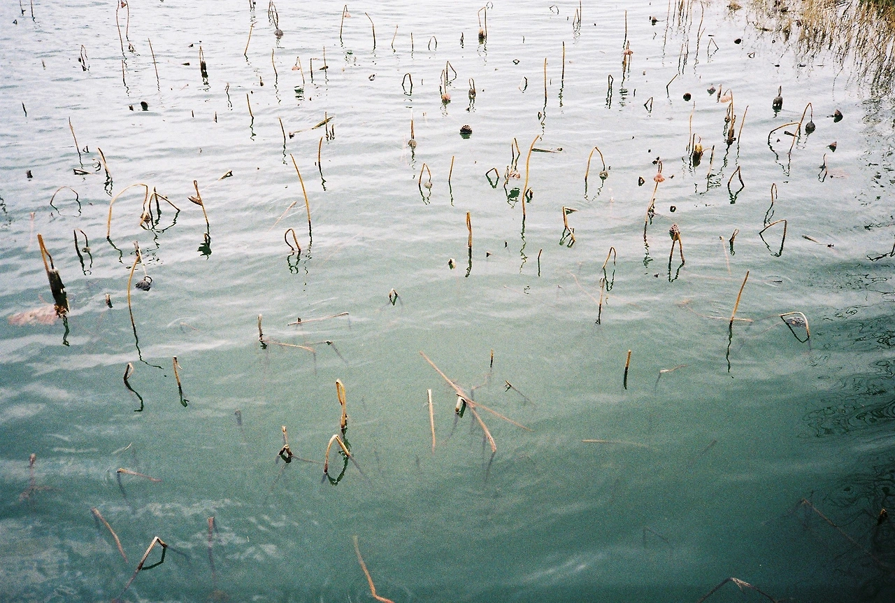 ~ 4월 7일 쯤 프로이미지100 (6).JPG