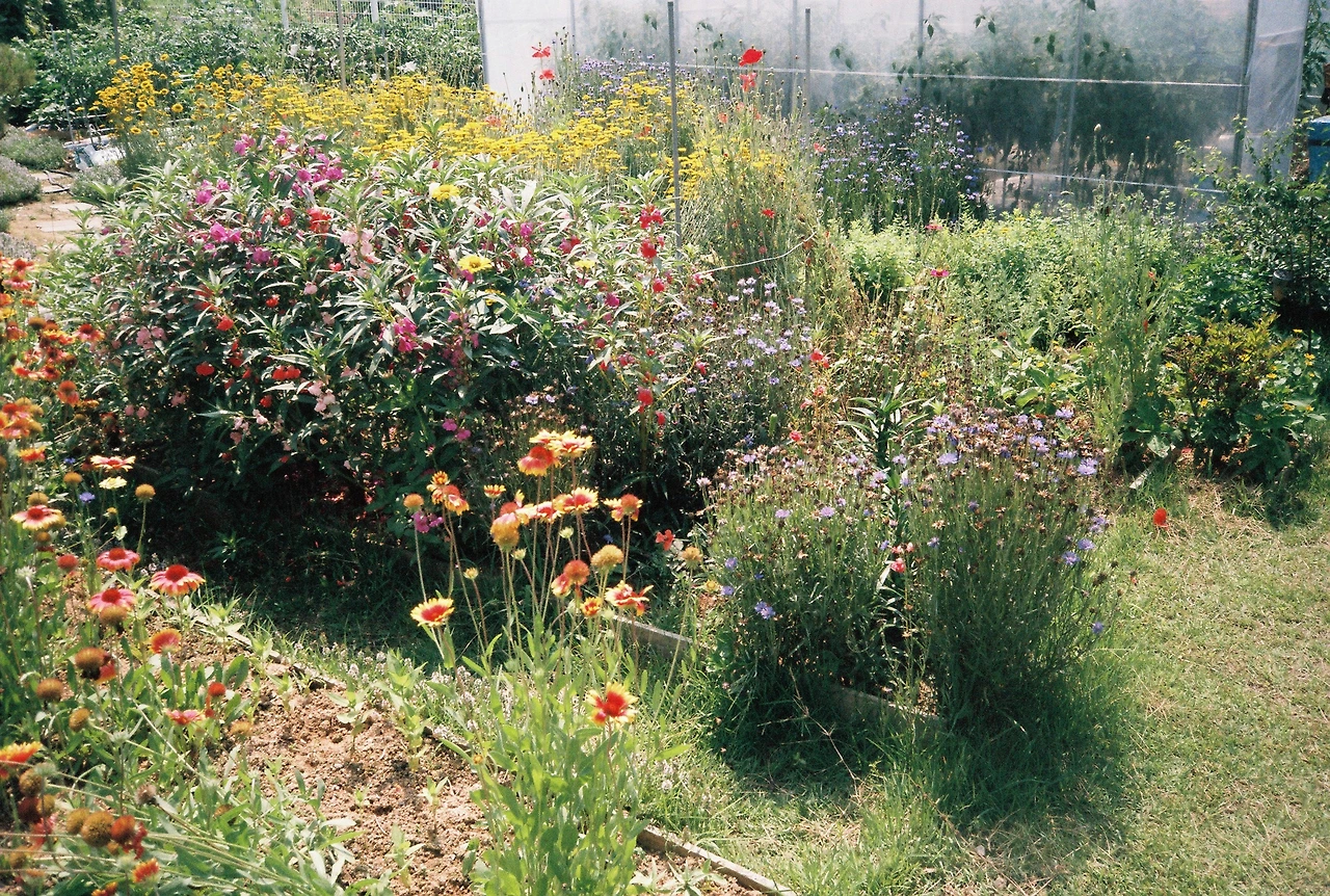 ~ 7월 6일 쯤 (16).JPG