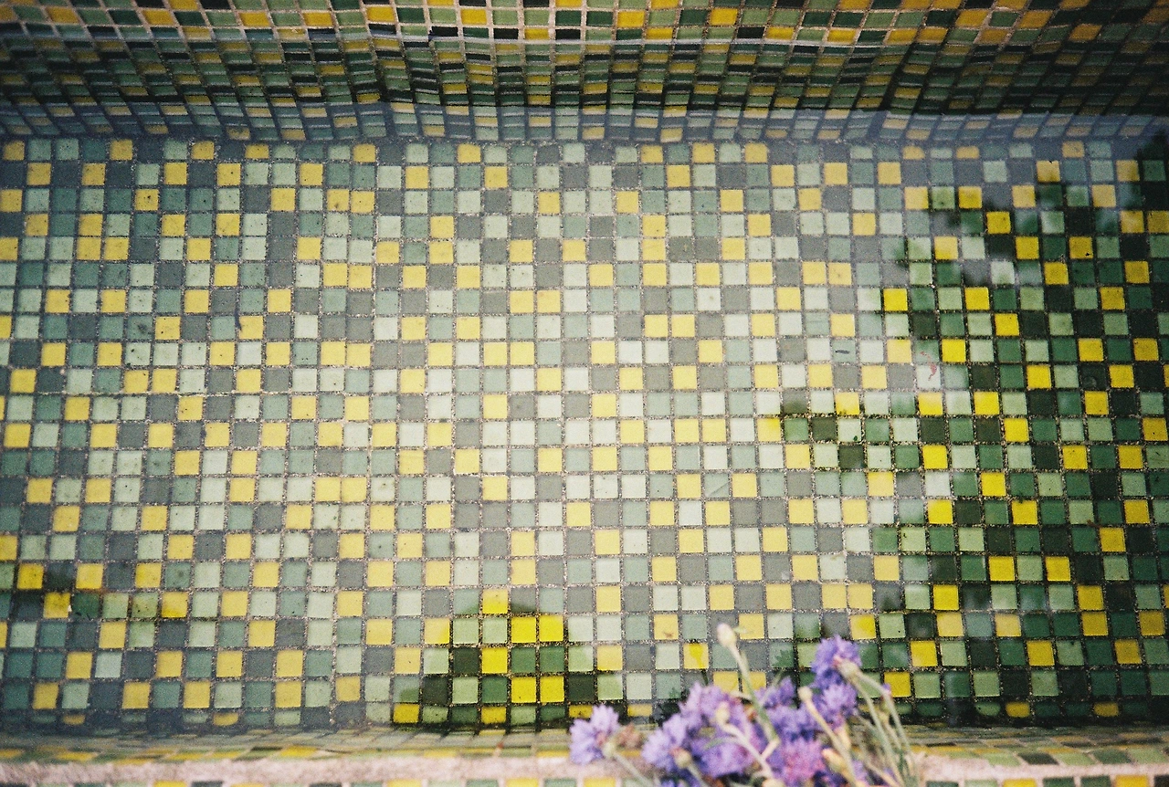 ~ 7월 22일 (10).JPG