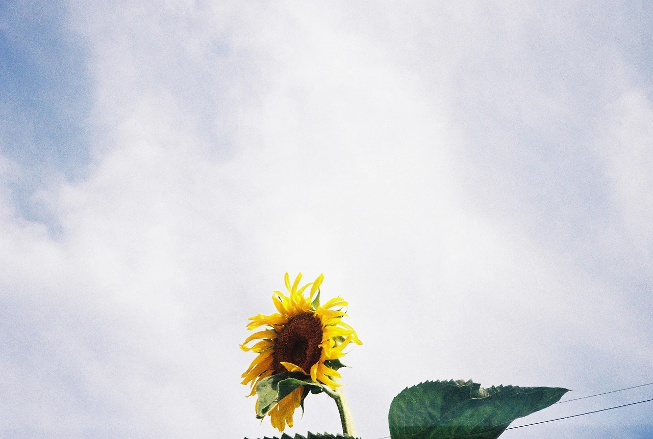 ~ 7월 22일 (17).JPG