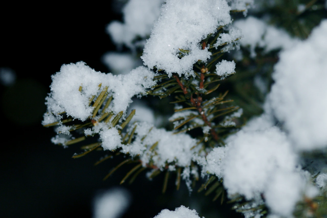 12월 20일 수요일 오후 9시.JPG