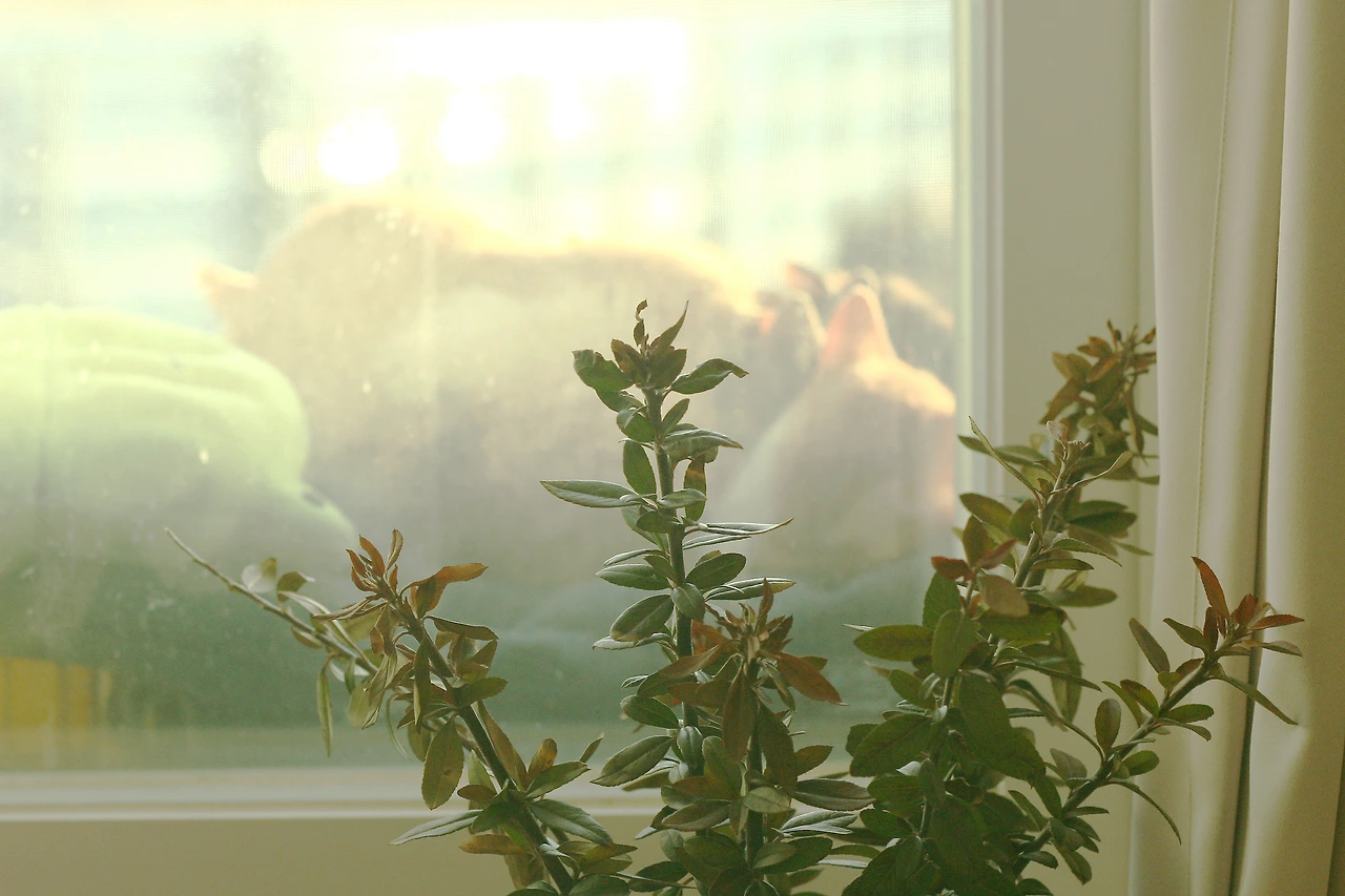 2월 21일 수요일 오후 5시 _2.JPG