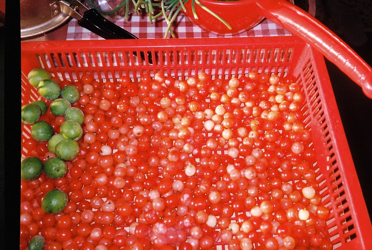 ~ 6월 22일 (13).JPG