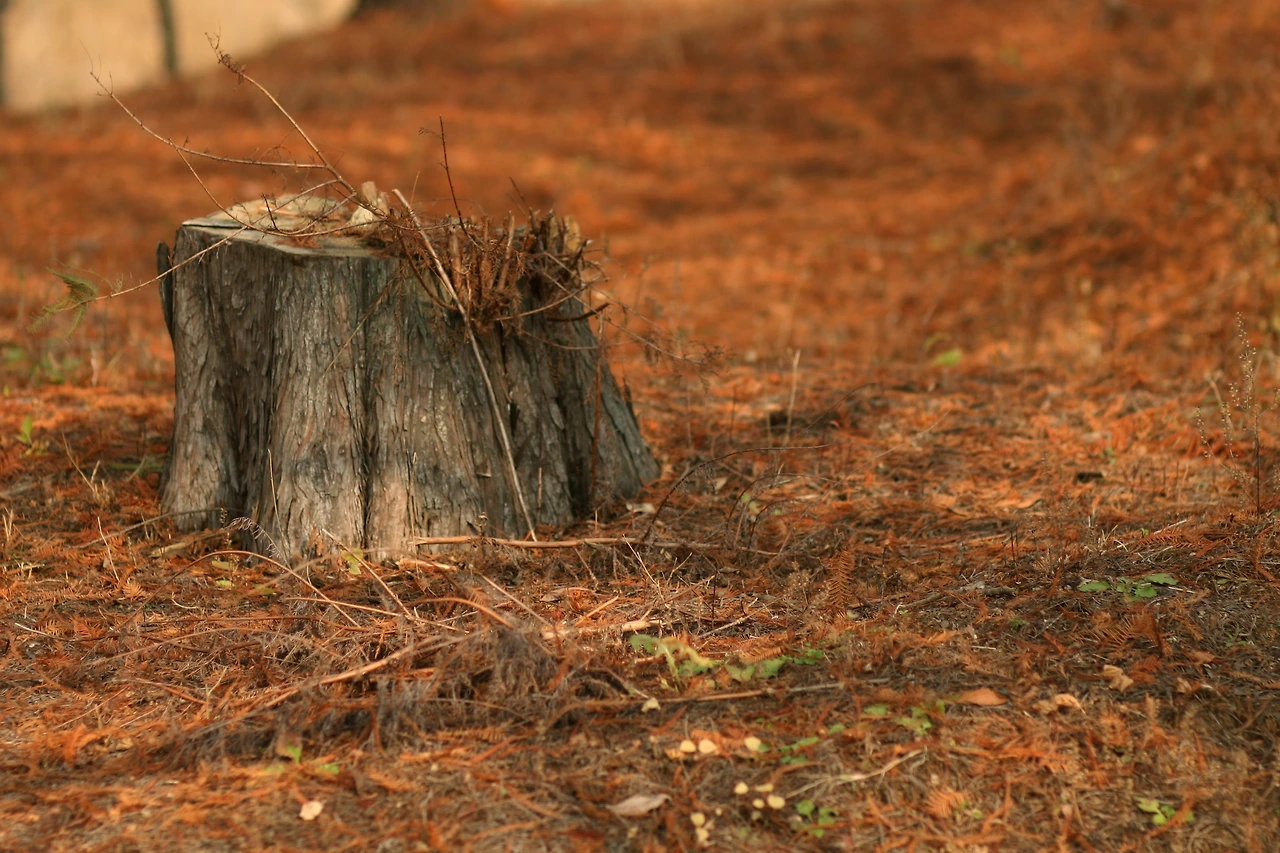 11월 19일 월요일 오후 1시 (5).JPG