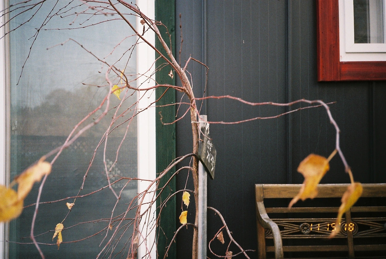 11월 16일 금요일 (6).JPG