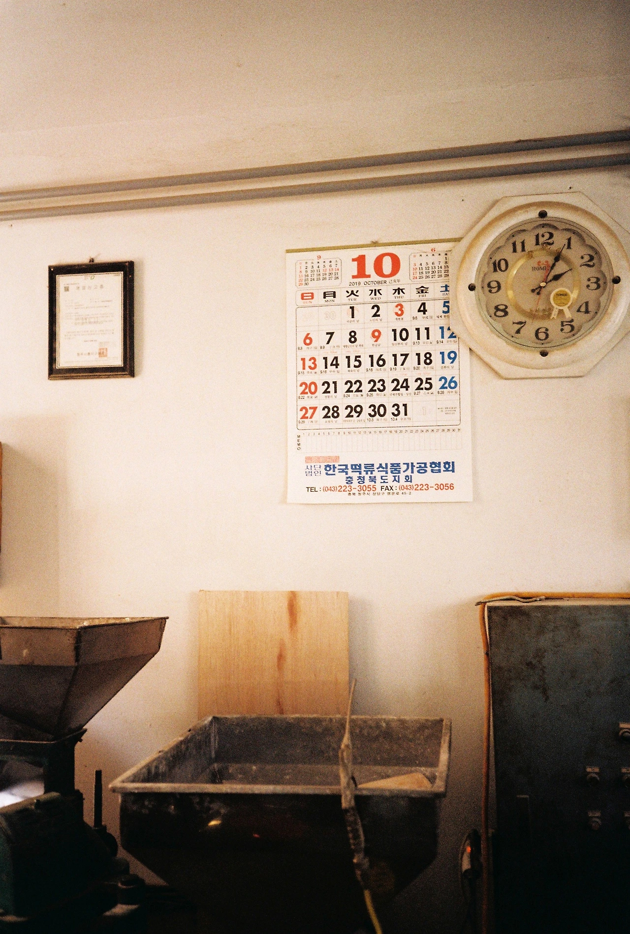 ~10월 22일 코닥 200 (3).JPG