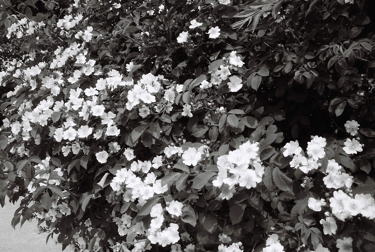 ~ 5월 22일 (6).JPG