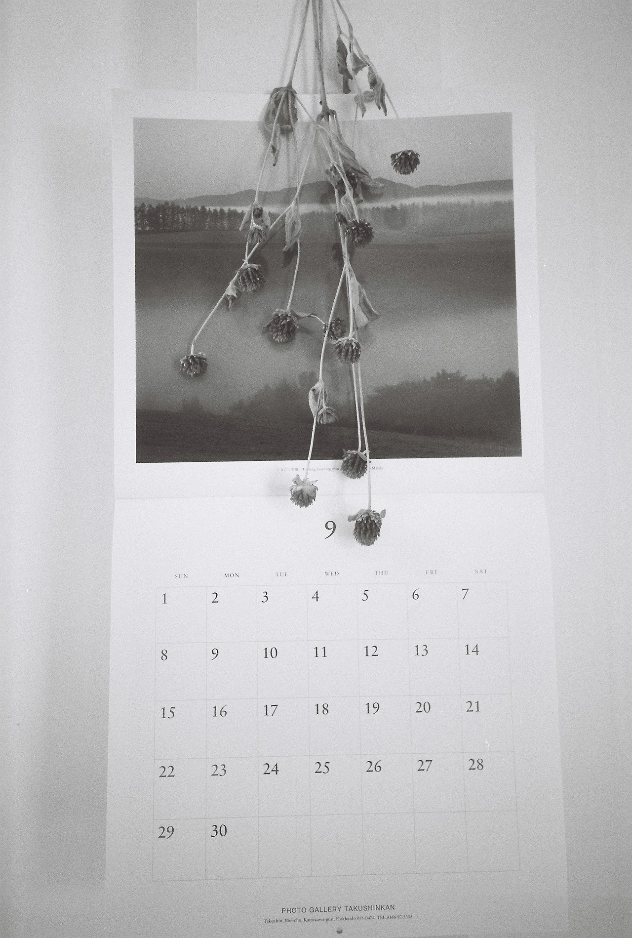 ~9월 17일 캔트미어 100 (23).JPG