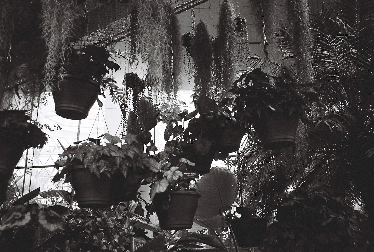 ~9월 10일 코닥 프로이미지 400 (16).JPG