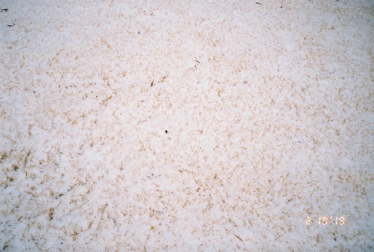 ~ 3월 후지 200_2롤 (19).JPG