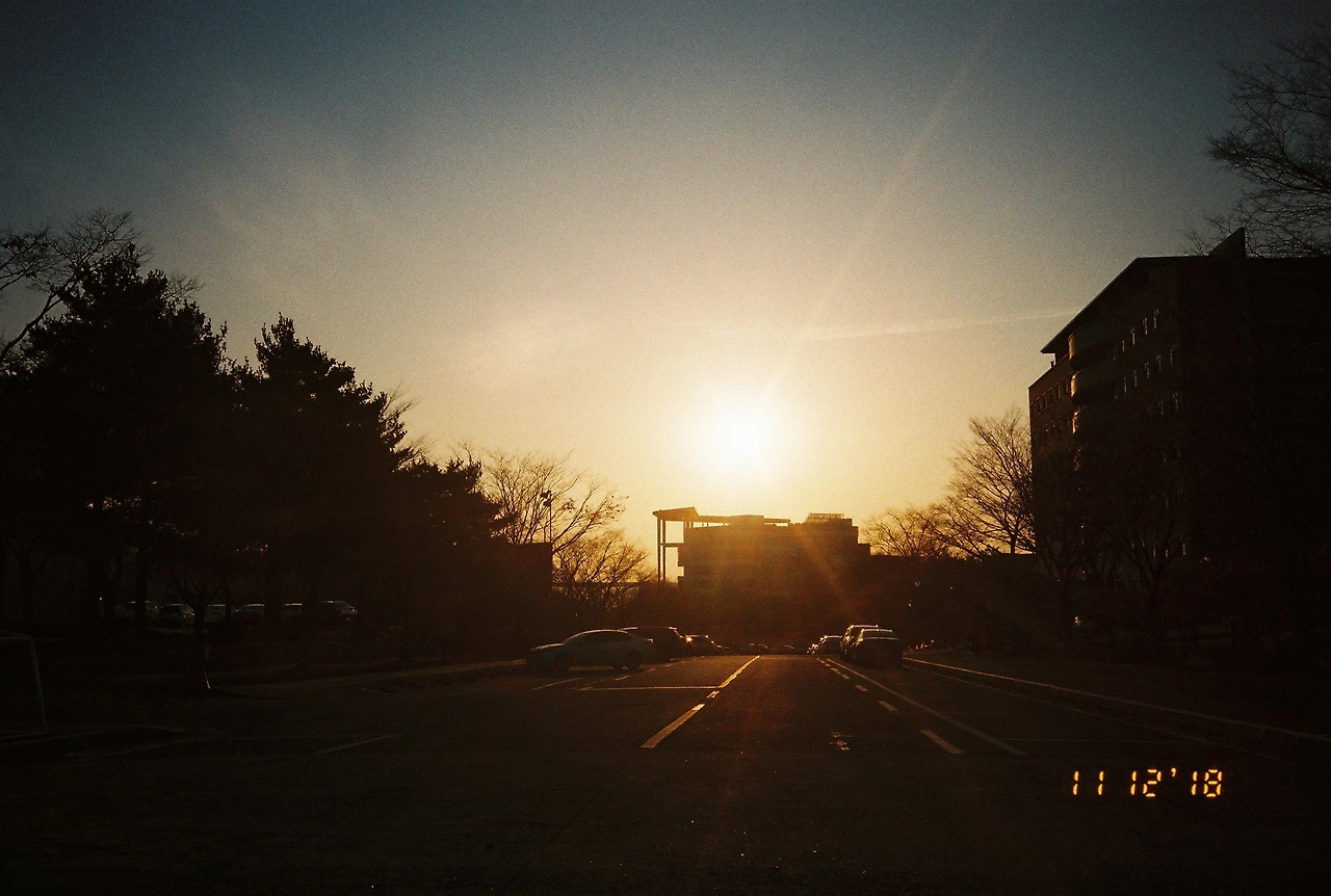 11월 13일 화요일 (3).JPG