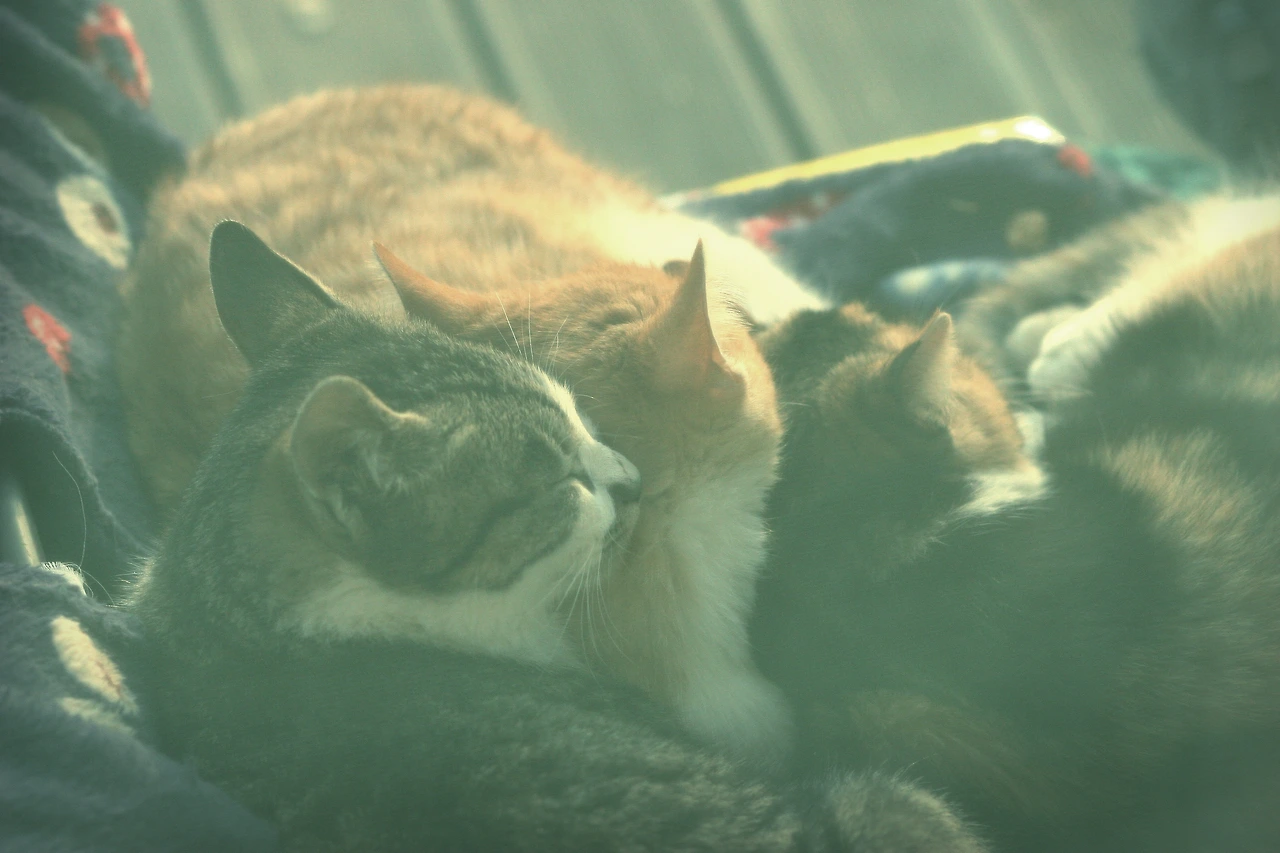 12월 28일 목요일 오후 4시 (1).JPG