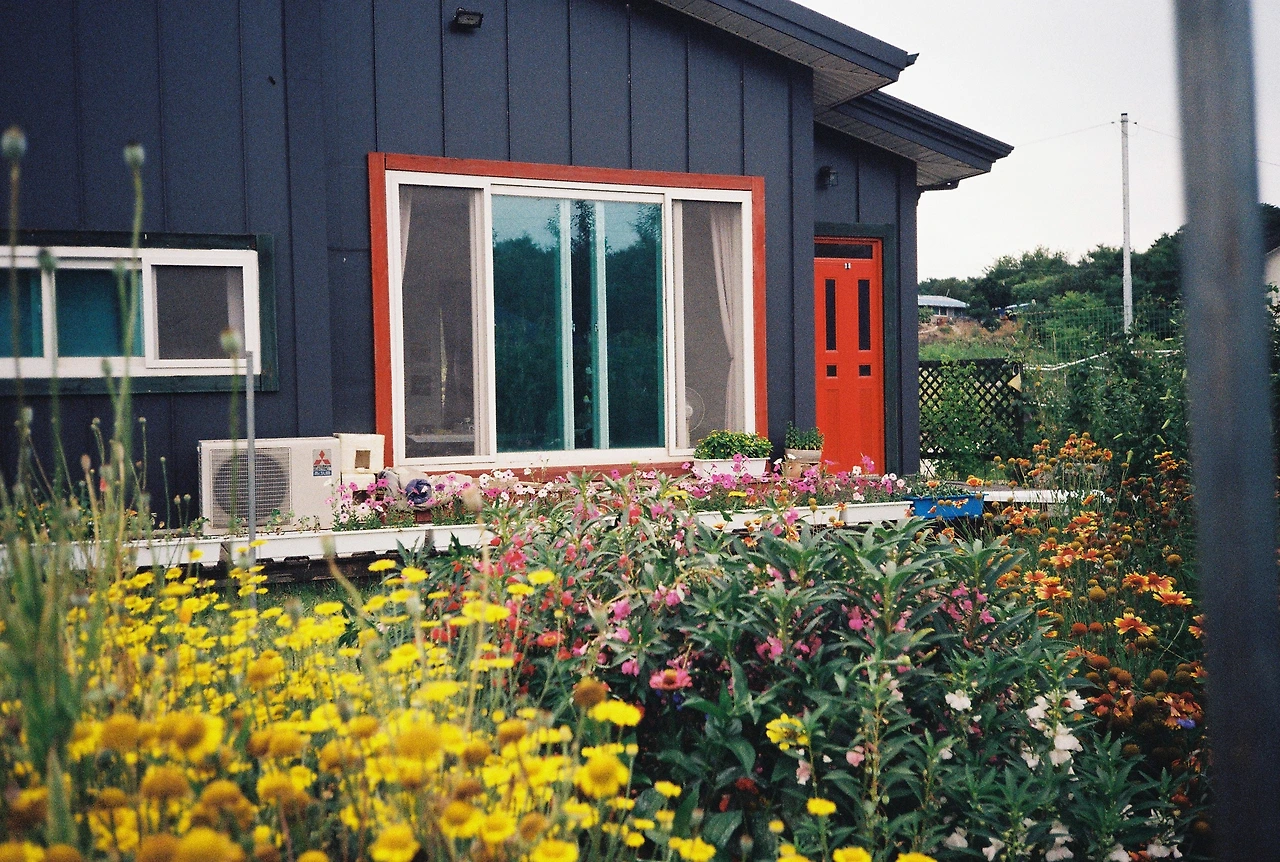 ~ 7월 22일 (5).JPG