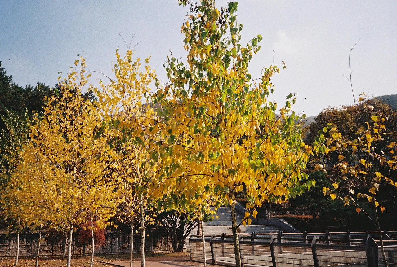 코닥200-1 (11).JPG