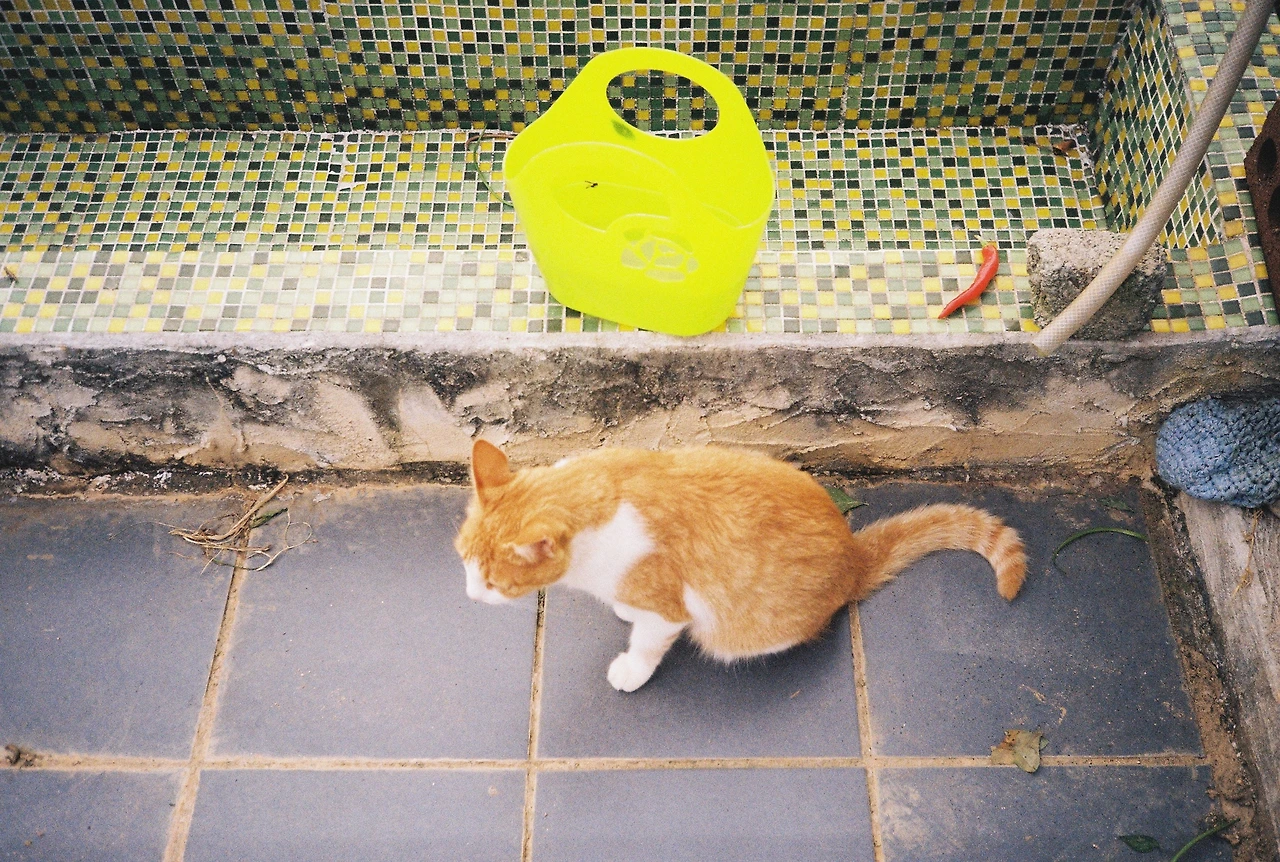 ~ 8월 20일 (11).JPG