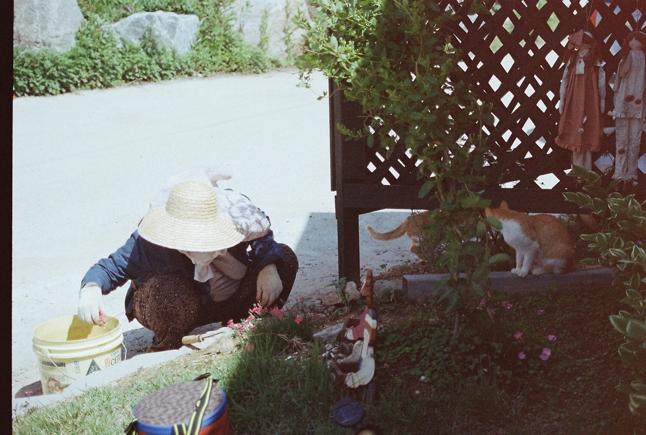 니콘필카 (24).JPG