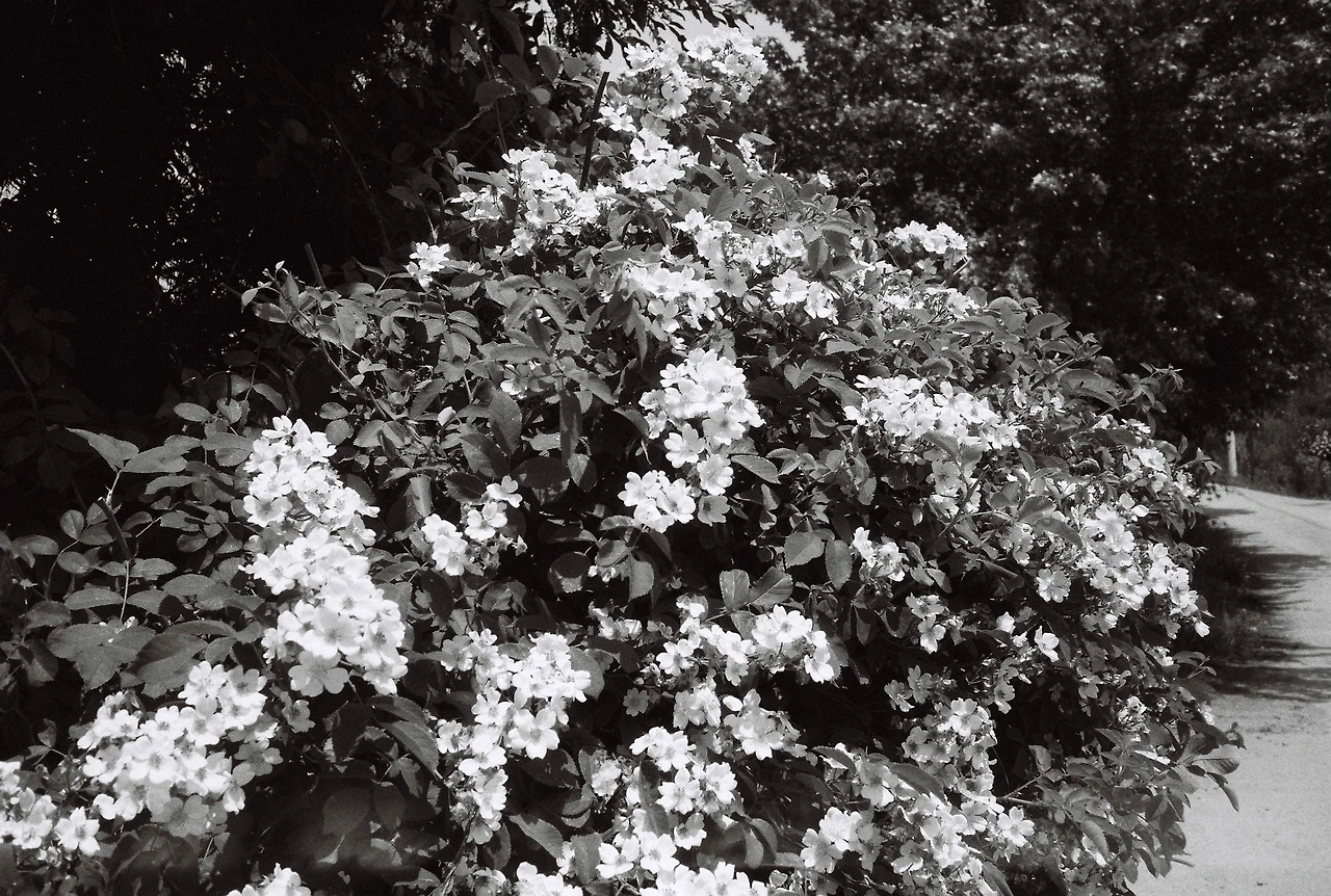 ~ 5월 22일 (8).JPG