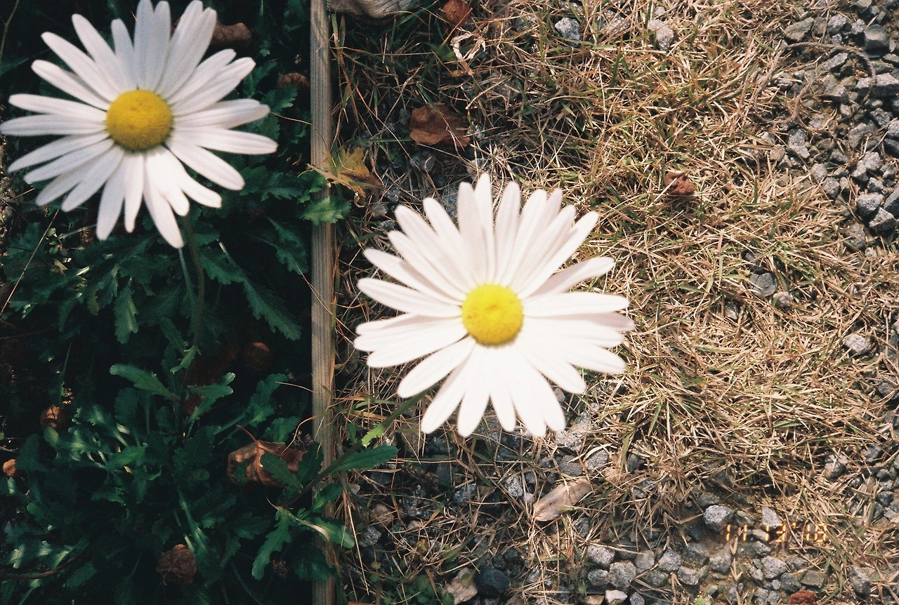 11월 14일 수요일 (1).JPG