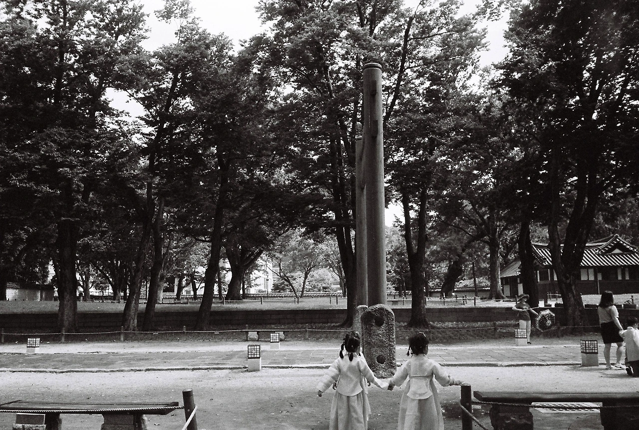 ~9월 10일 코닥 프로이미지 400 (2).JPG