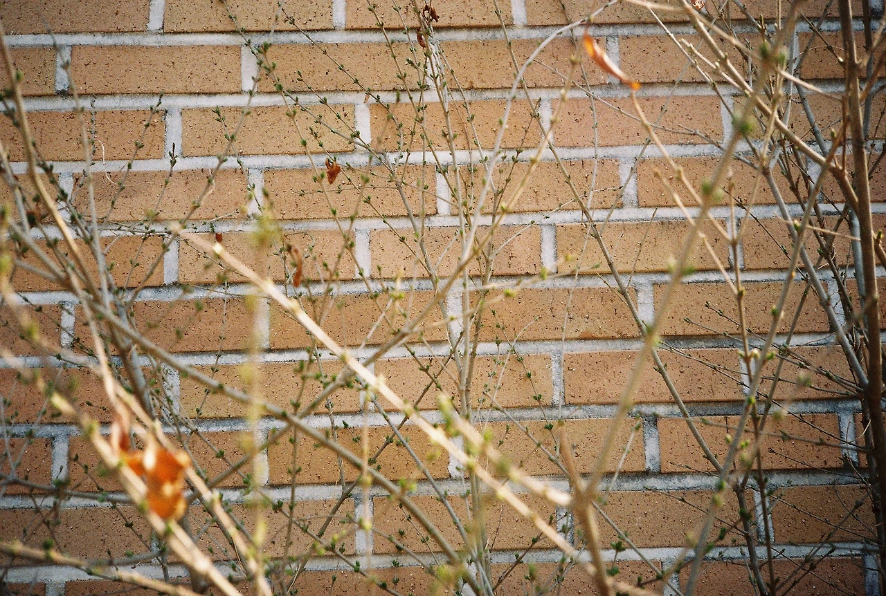 ~ 4월 7일 쯤 프로이미지100 (13).JPG