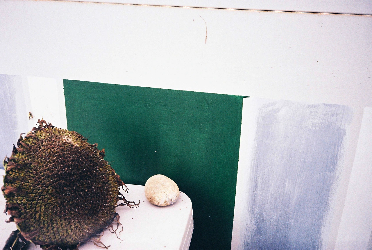 ~10월 22일 코닥 200 (21).JPG