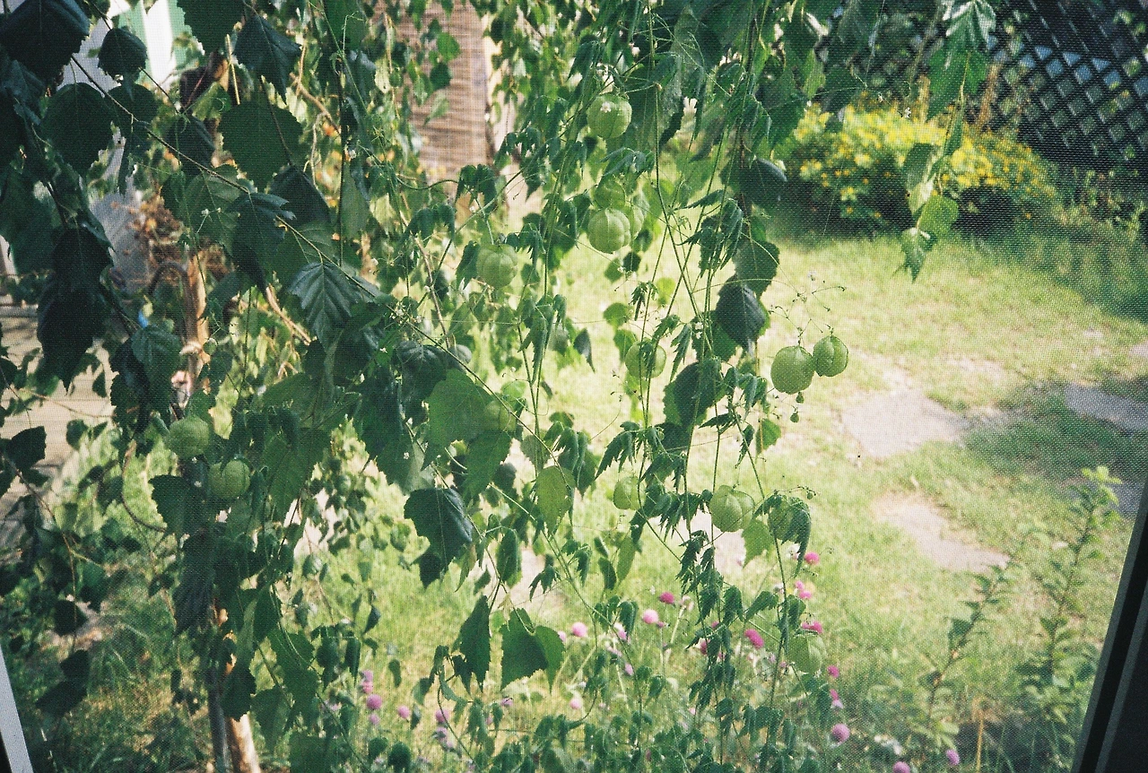 ~ 8월 20일 (17).JPG