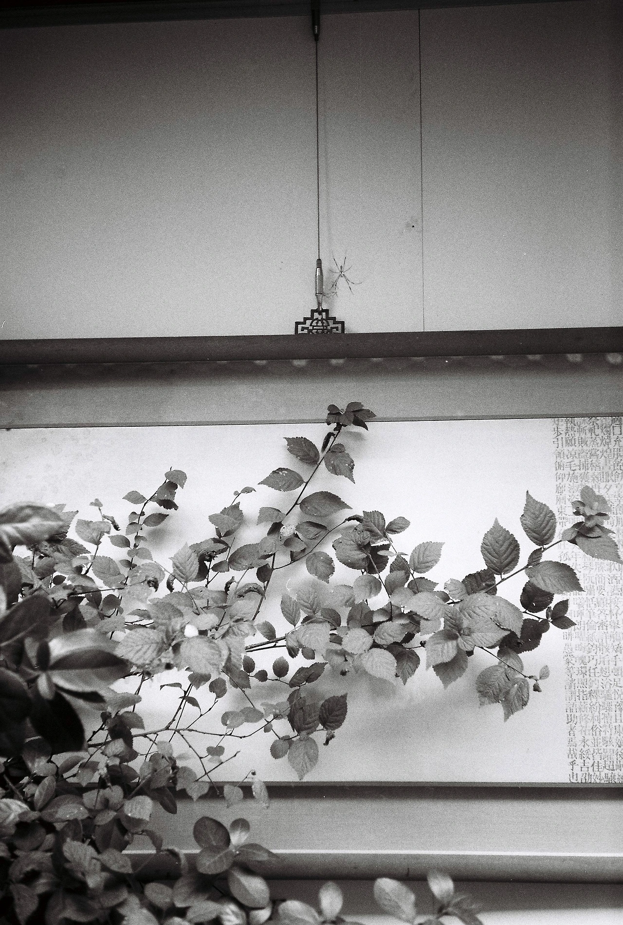 ~9월 17일 캔트미어 100 (11).JPG