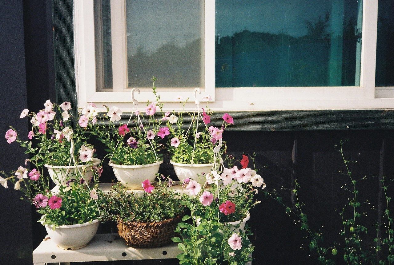 ~ 7월 22일 (15).JPG