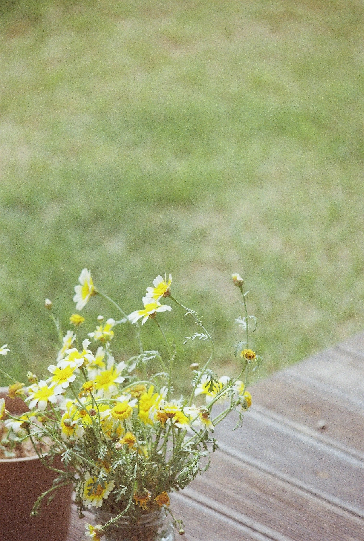 니콘필카 (11).JPG