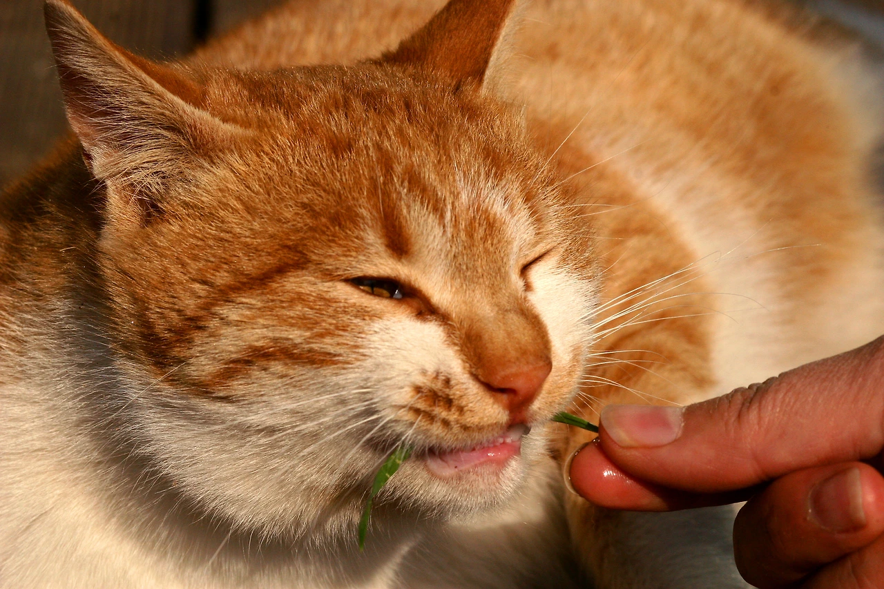 12월 20일 수요일 오후 12시.JPG