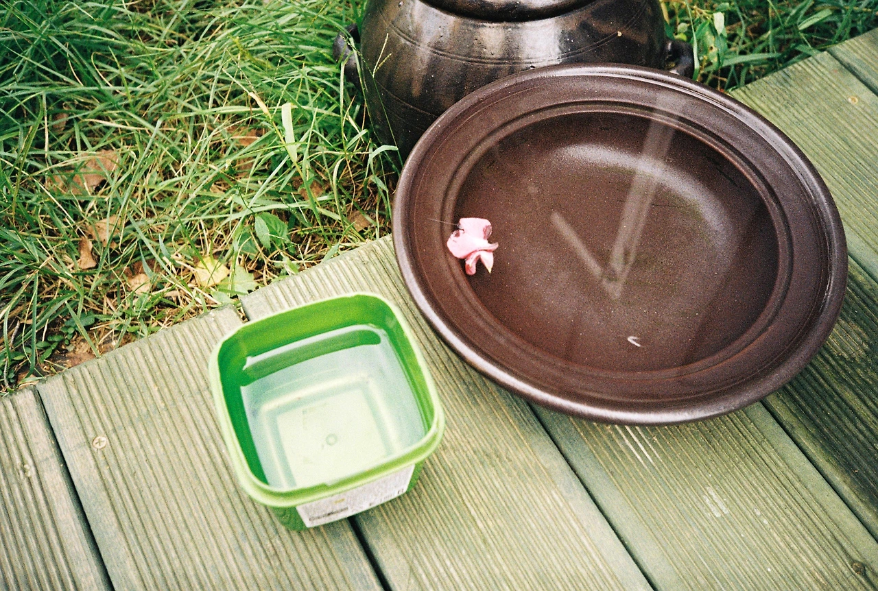 ~10월 8일 코닥 200 (14).JPG