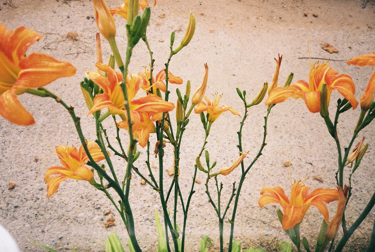 ~ 7월 22일 (23).JPG