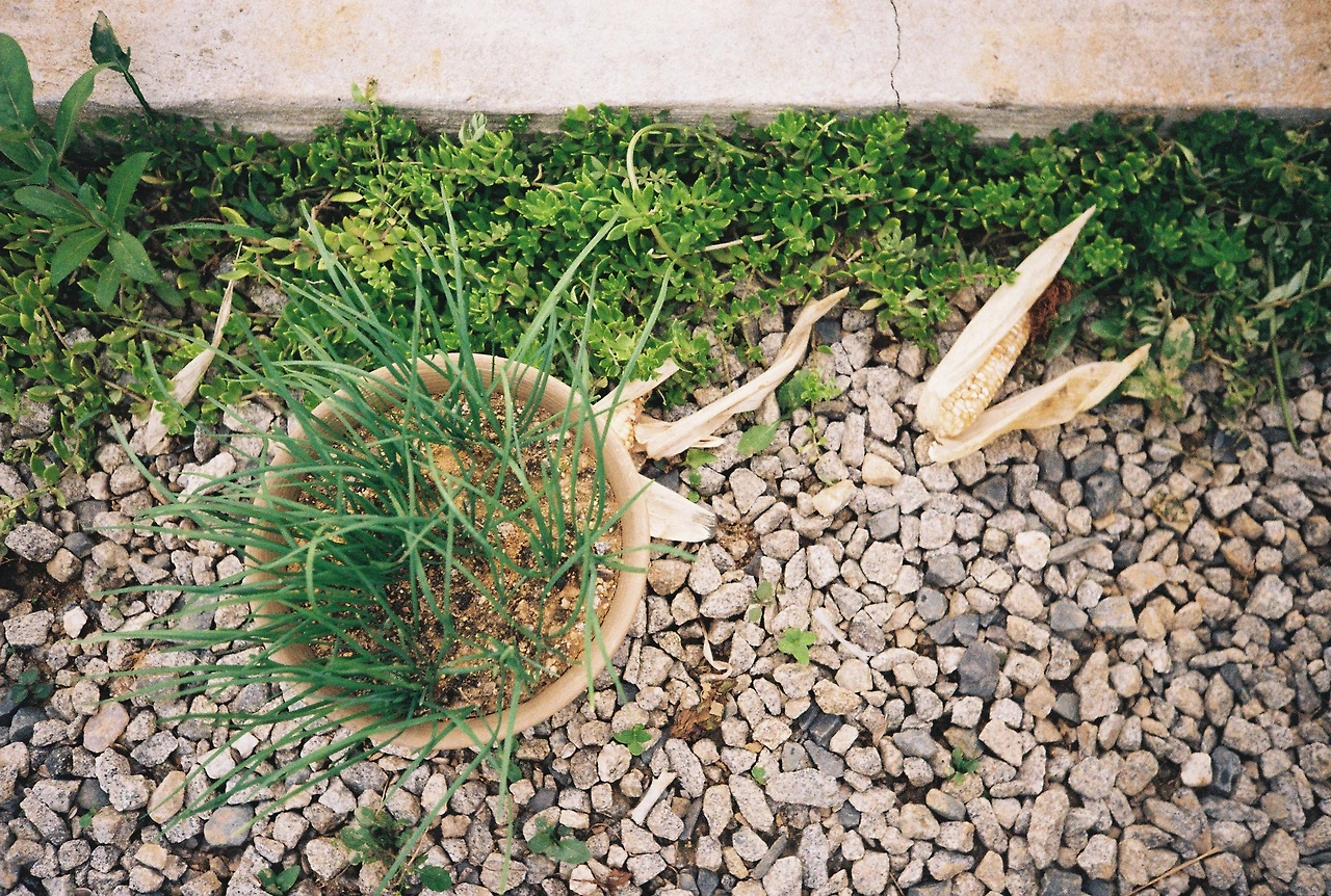 ~ 8월 20일 (16).JPG