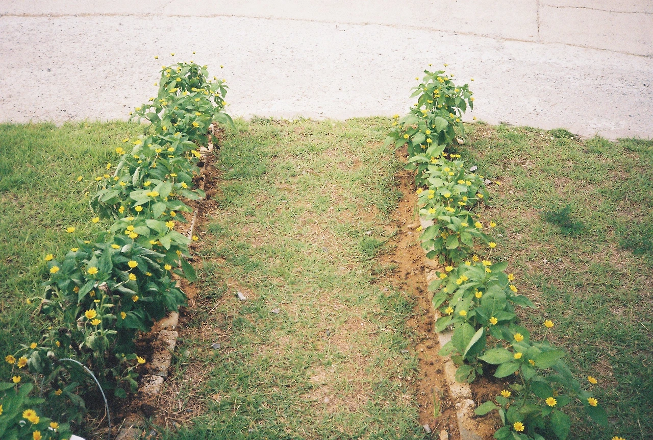 ~ 7월 22일 (25).JPG