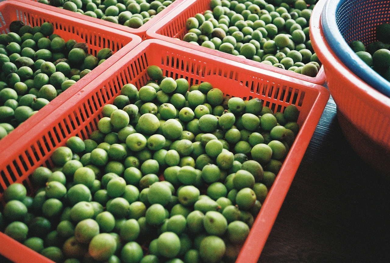 ~ 6월 22일 (11).JPG