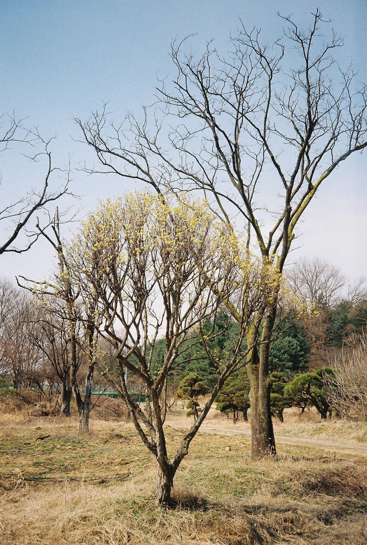 ~ 4월 7일 쯤 프로이미지100 (10).JPG