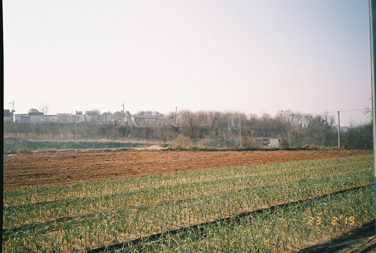 ~ 3월 후지 200_2롤 (11).JPG