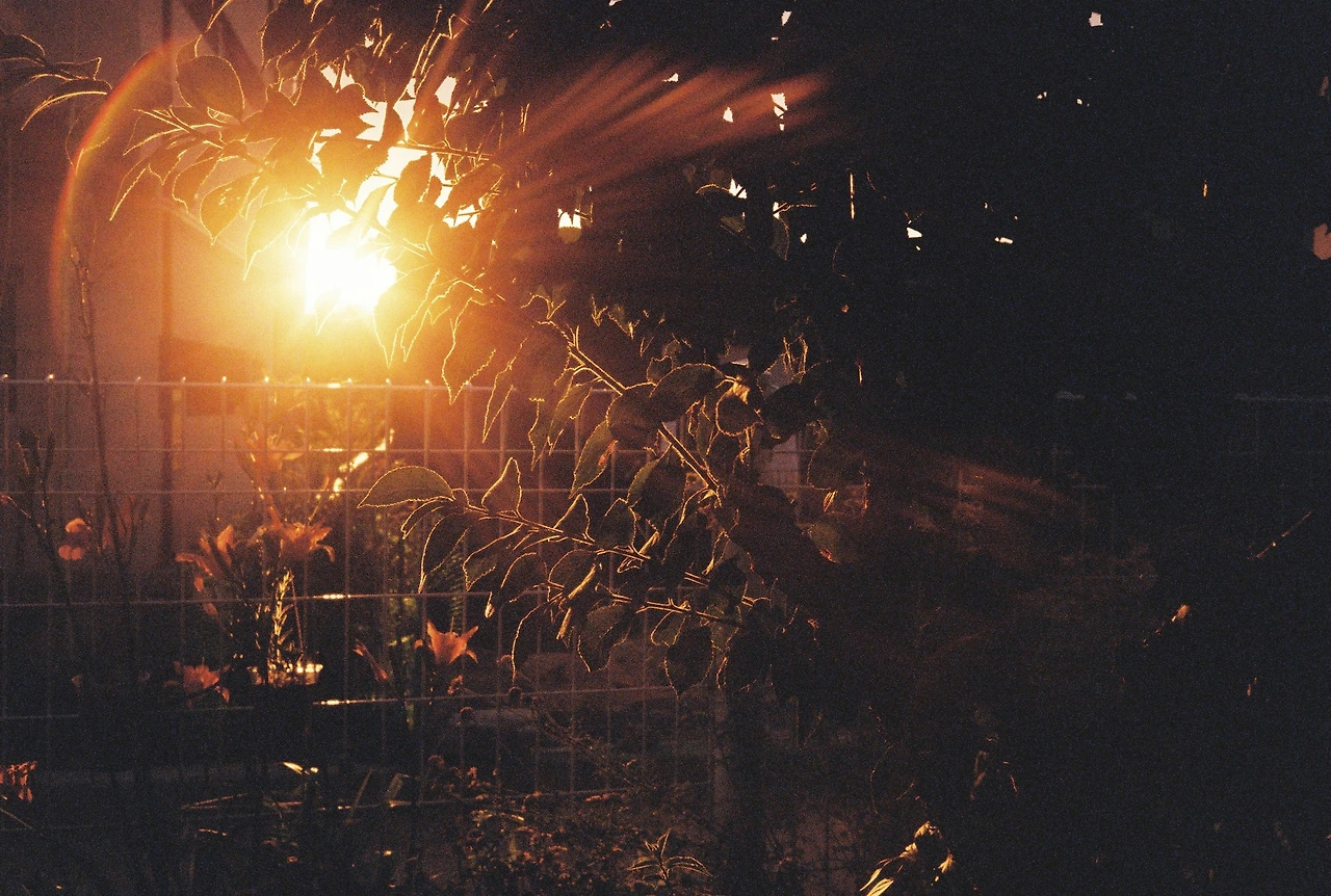 ~ 7월 22일 (9).JPG