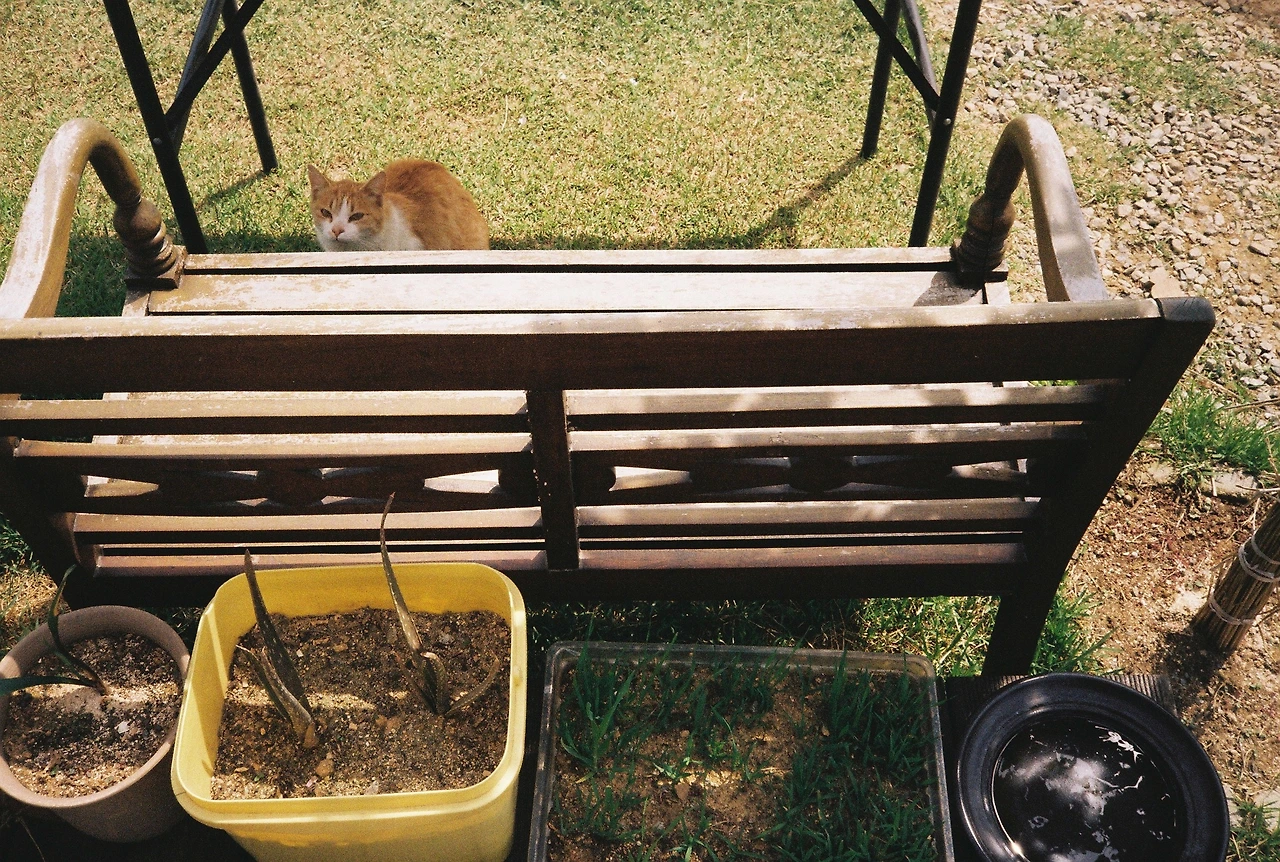 ~ 5월 1n일 코닥200_1롤 (10).JPG