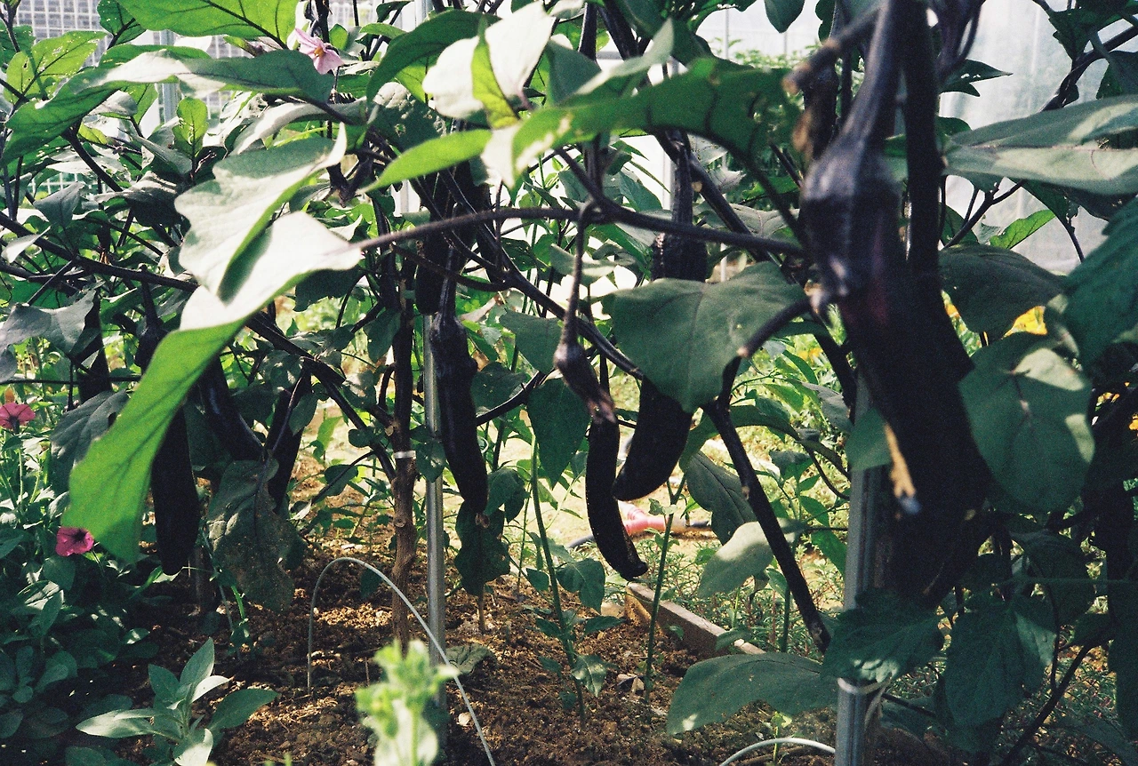 ~ 7월 22일 (19).JPG