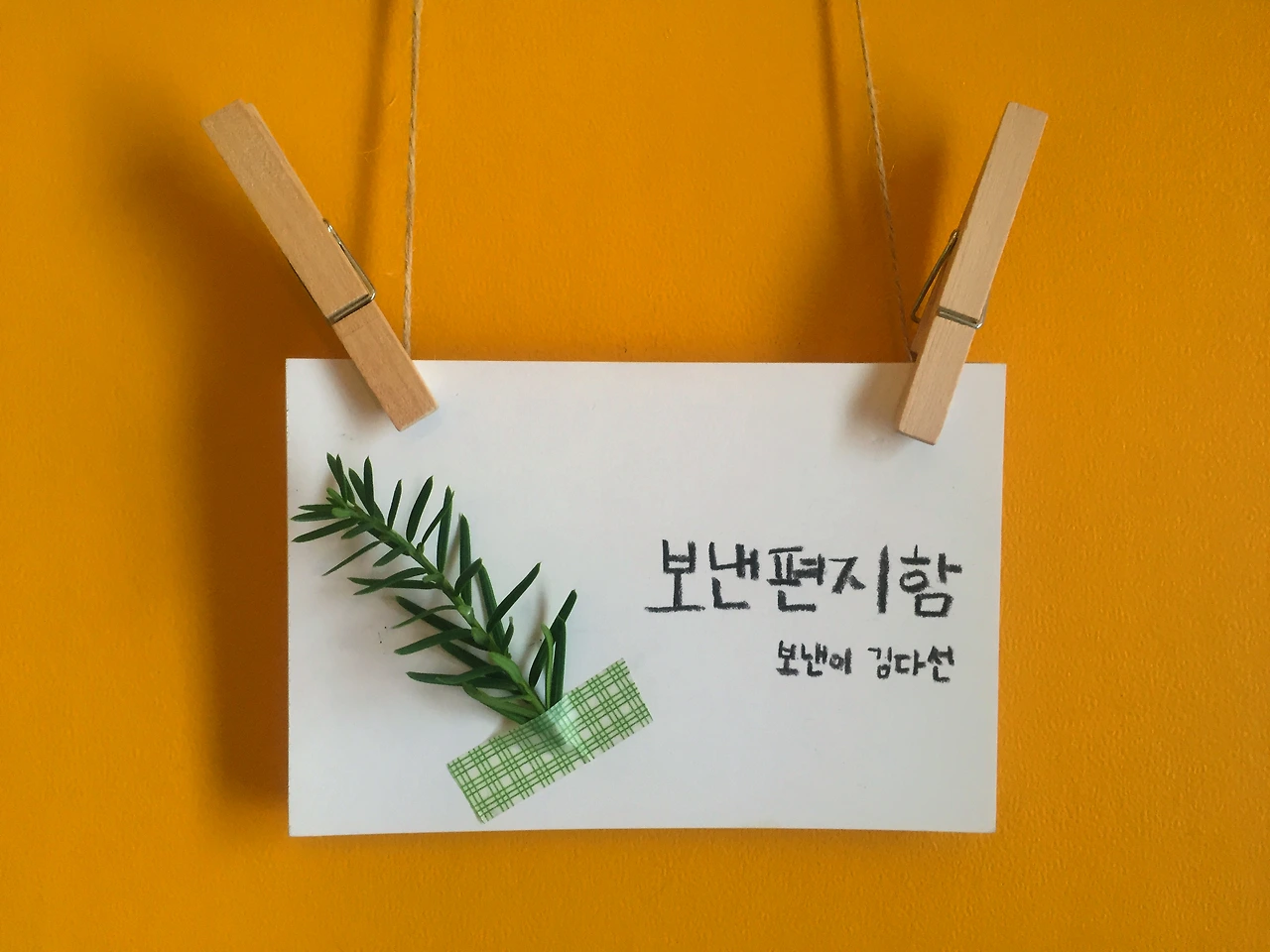 01.첫 번째 사진.JPG