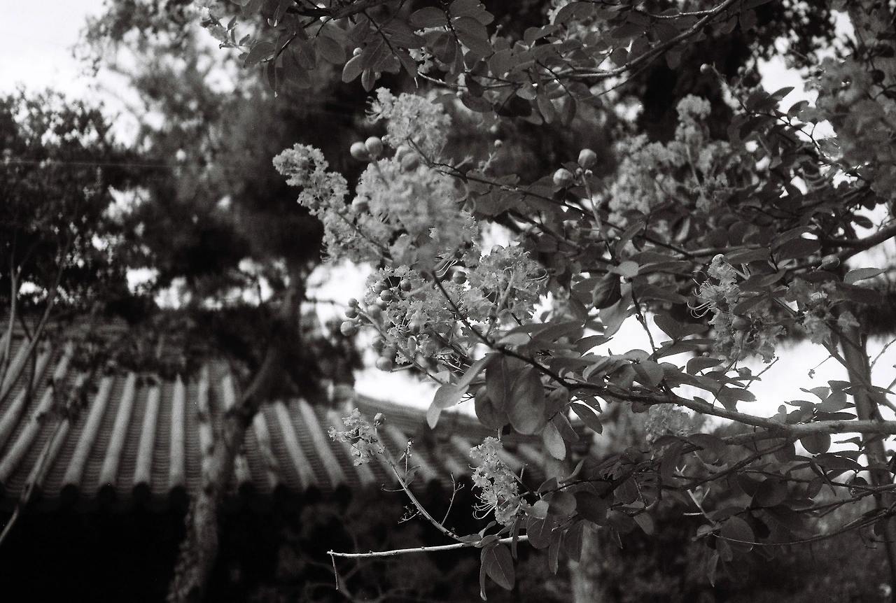 ~9월 17일 캔트미어 100 (7).JPG