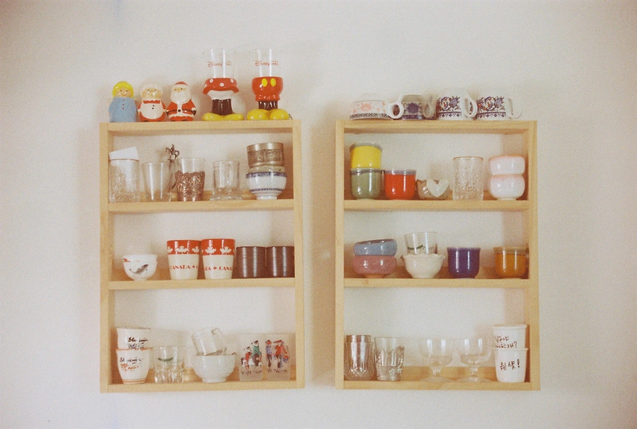 니콘필카 (18).JPG