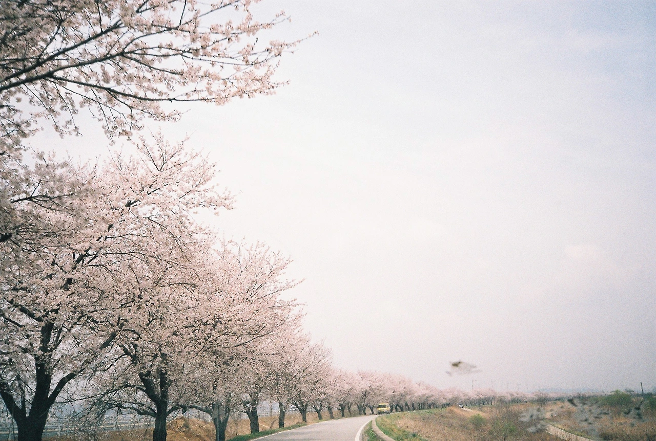 ~ 4월 11일 쯤 후지200_3롤 (1).JPG