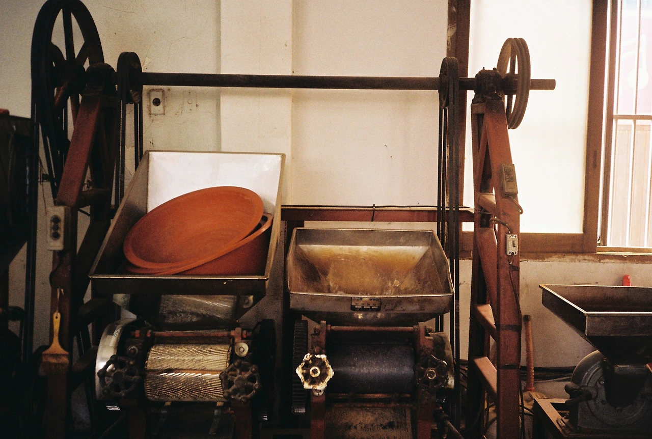 ~10월 22일 코닥 200 (4).JPG