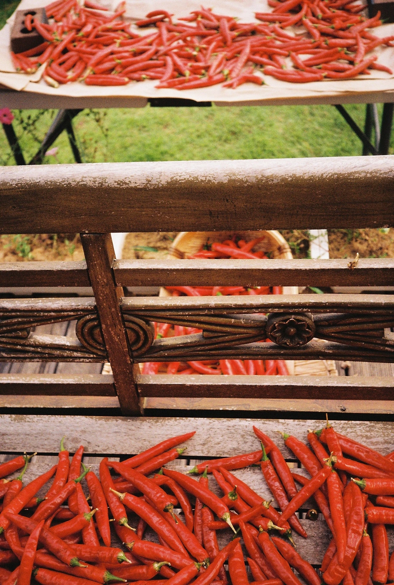 ~ 8월 20일 (2).JPG