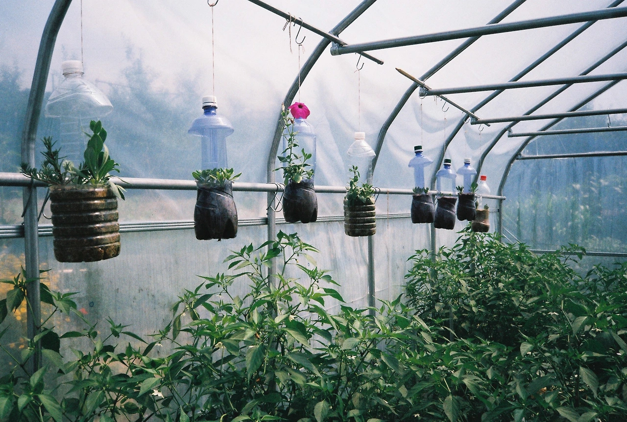 ~ 7월 6일 쯤 (13).JPG