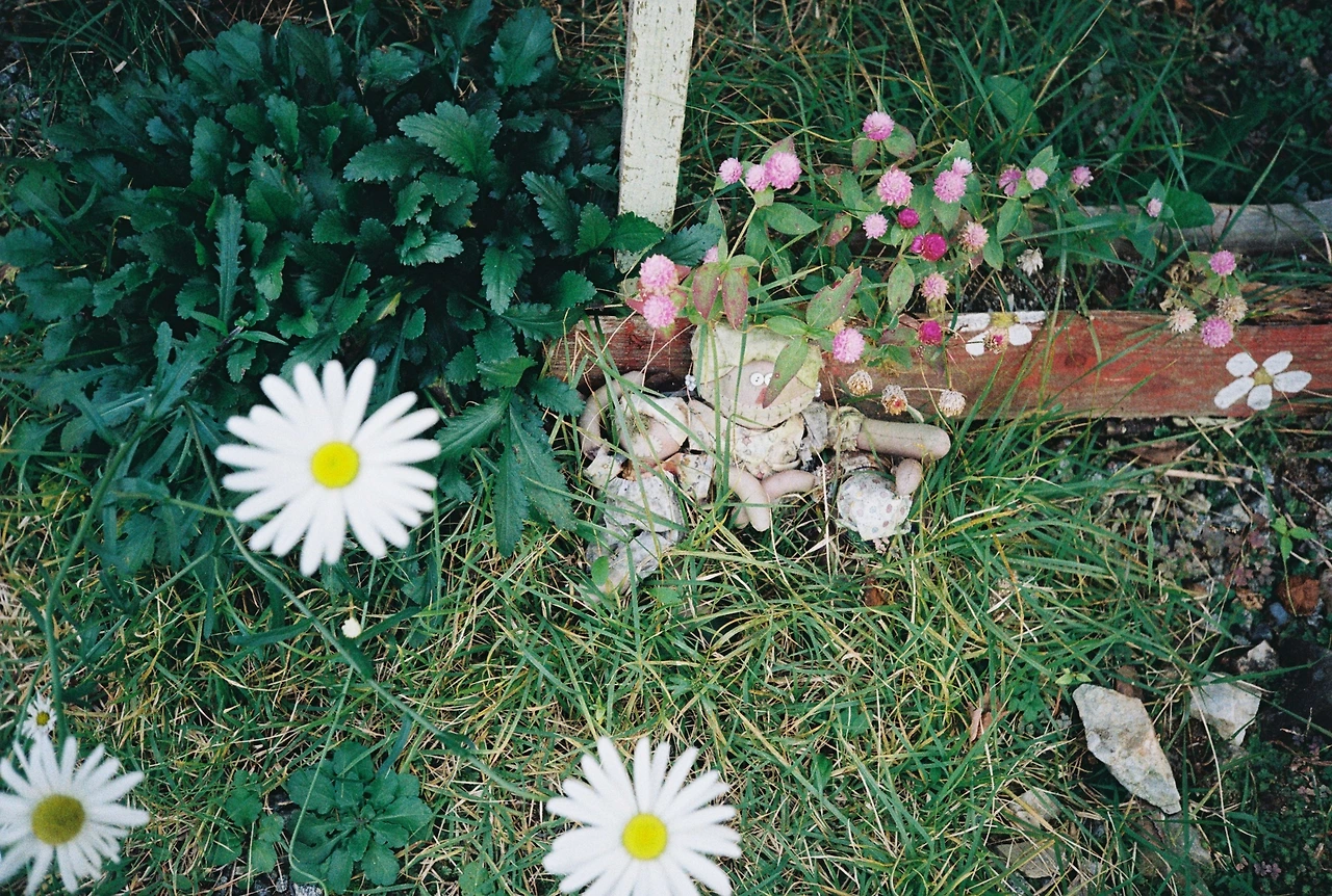 코닥200-1 (32).JPG