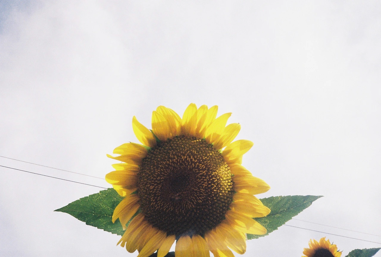 ~ 7월 22일 (18).JPG